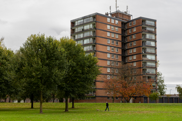 private-rentals for rent on Havendijk 125