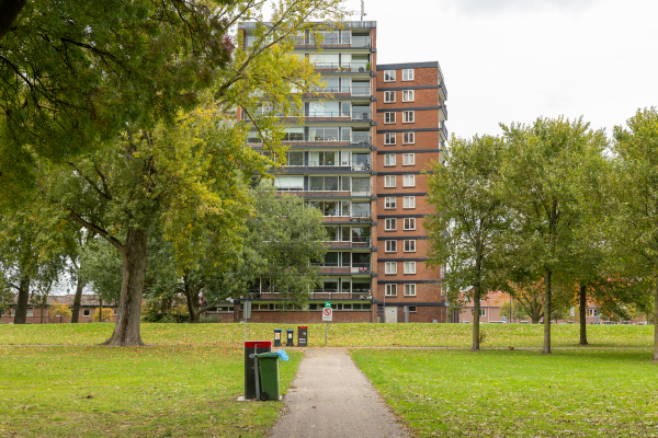 private-rentals for rent on Havendijk 113