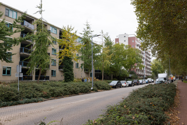 free-sector-houses for rent on Remmet van Milplaats 2